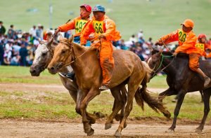 Naadam horse racing