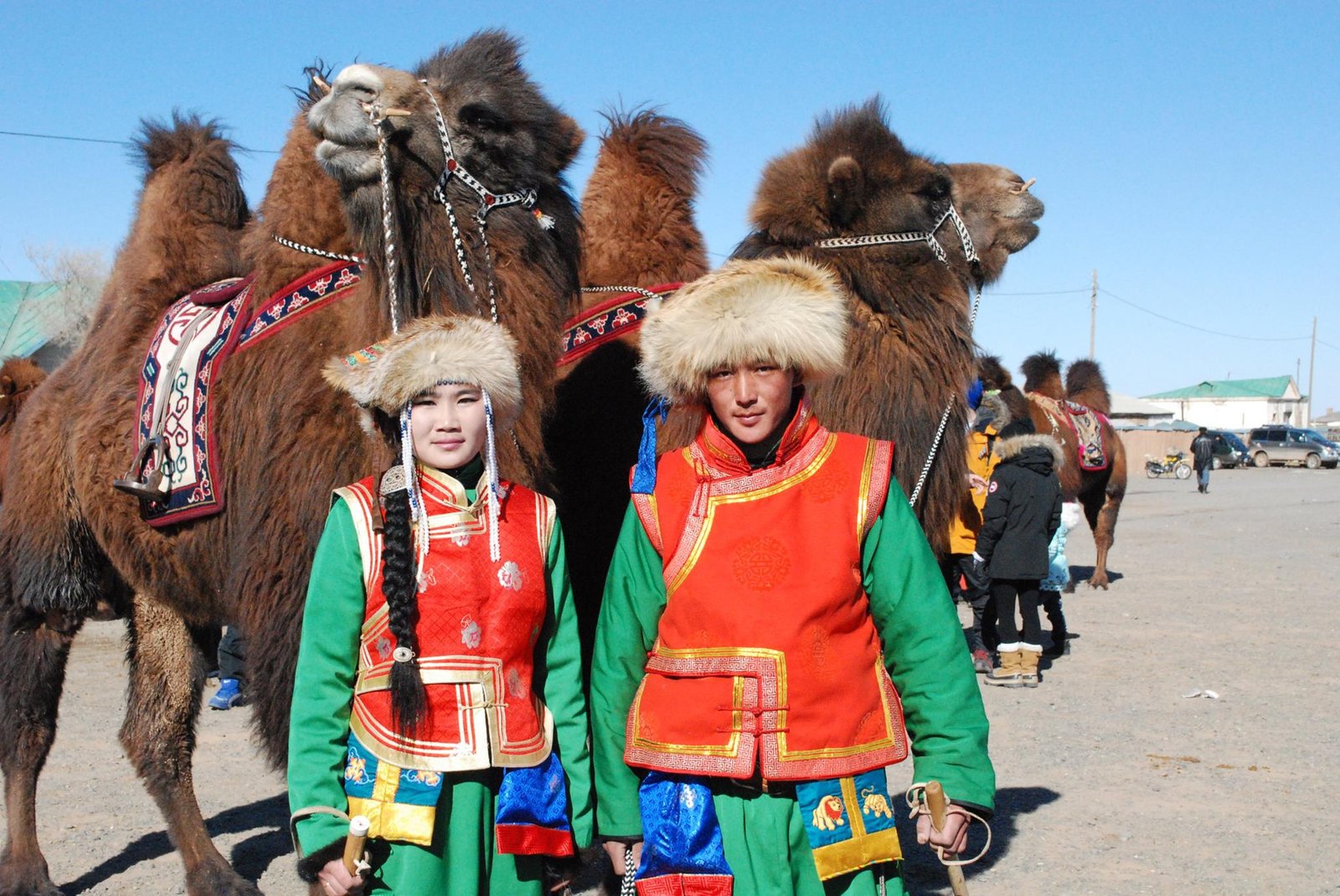 Part of the Thousand Camel Festival held in Mongolia's southern Gobi in March is the best dressed couple and best looking camels competition.