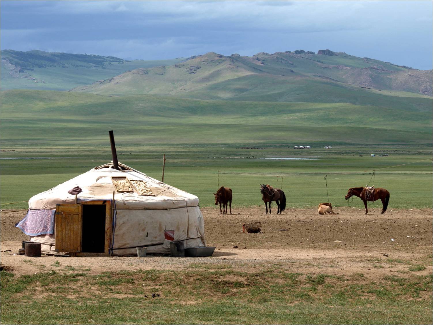 A typical Mongolian ger out on the Mongolian steppe. In this image you can see the families working horses waiting to be ridden as well as the hand-made dairy products drying in the sun. This is the real Mongolia.