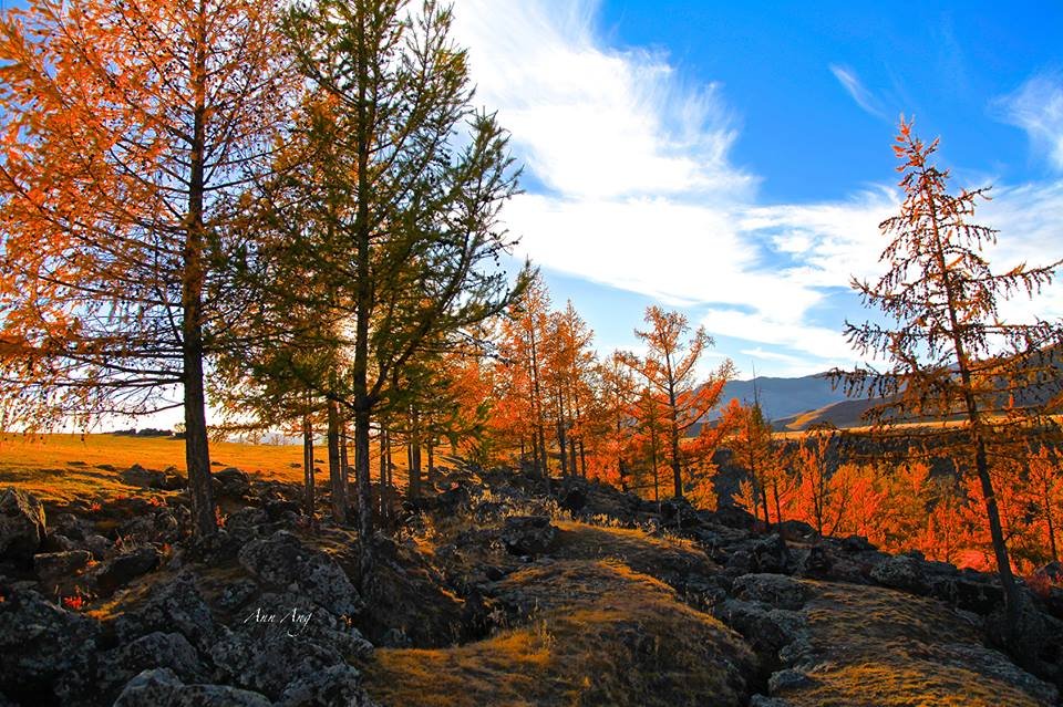 The spectacular autumn colours along the Orkhon River Valley in central Mongolia