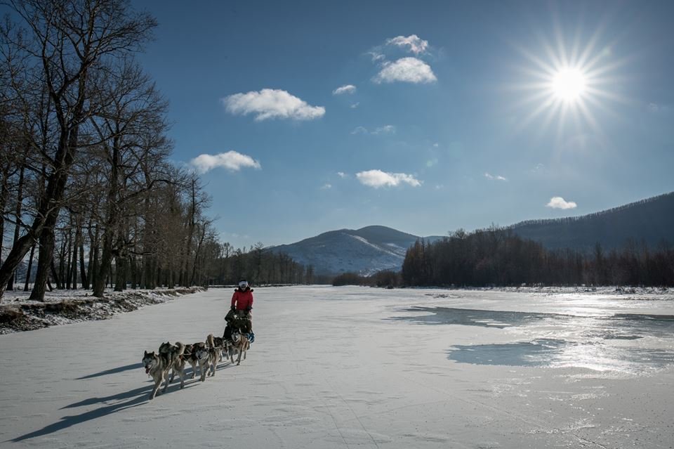 Dog sledding in Mongolia on the mighty Tuul River at Gorkhi-Terelj National Park.