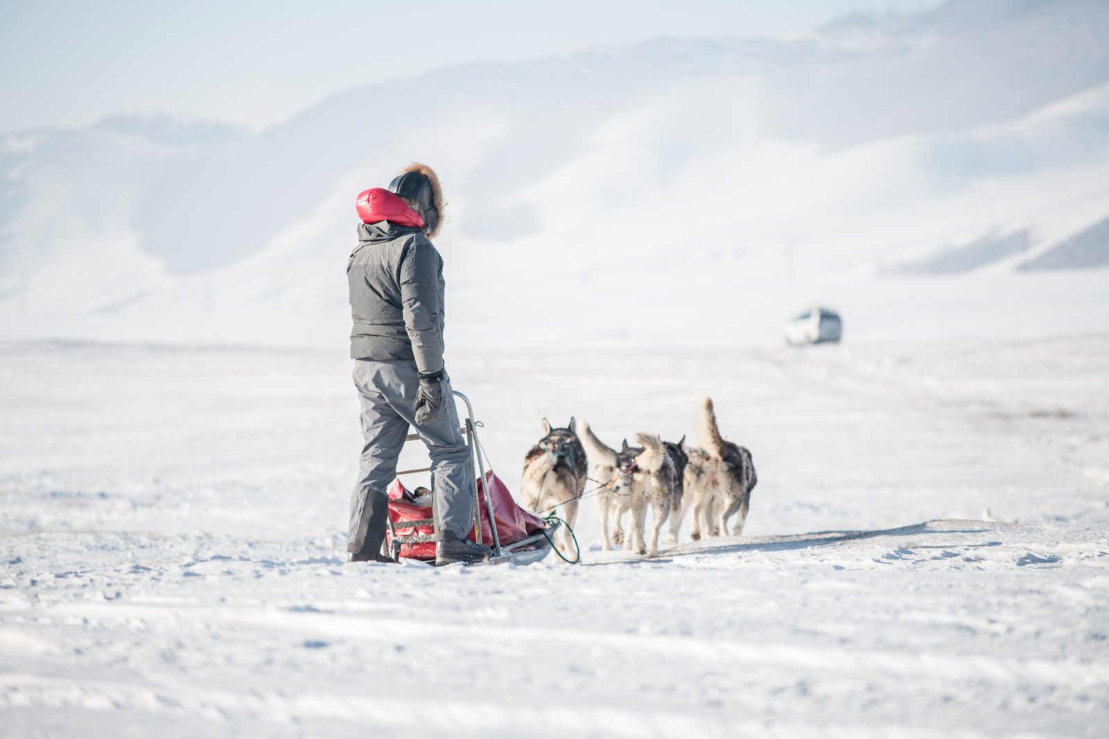 Dog sledding in Mongolia is where nature dominates - from the wolf tracks we’ll come across in the snow to the sound of the ice moving on the frozen Tuul and Terelj Rivers. Yes, the word adventure is fashionable and overused in the tourism industry but this really is a true adventure.