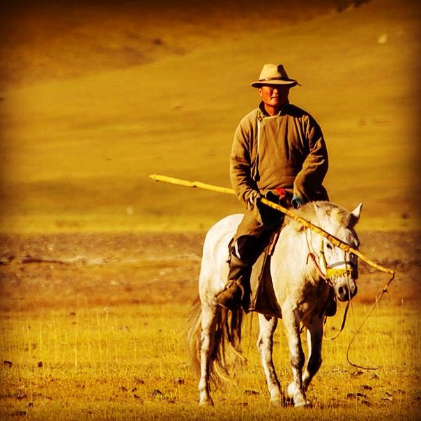 This is Tumee - an expert horseman and head of one of the herding families we work with in Mongolia's central Orkhon River Valley
