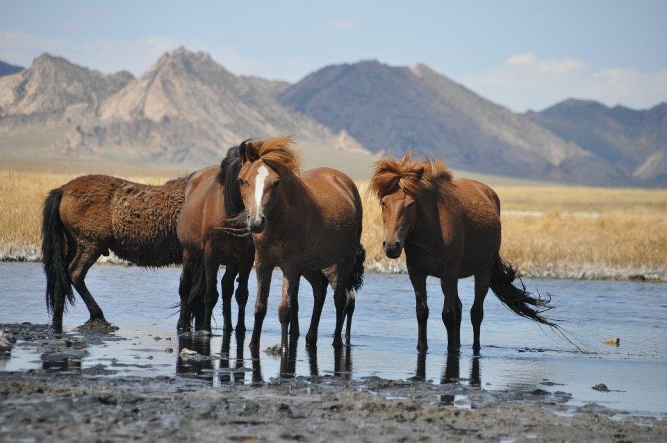 Zorgol Khairkhan mountain in Mongolia's Middle Gobi