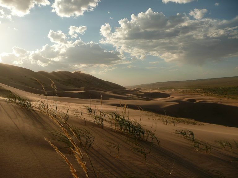 Khongoryn Els Sand Dunes - Gobi Desert - Mongolia