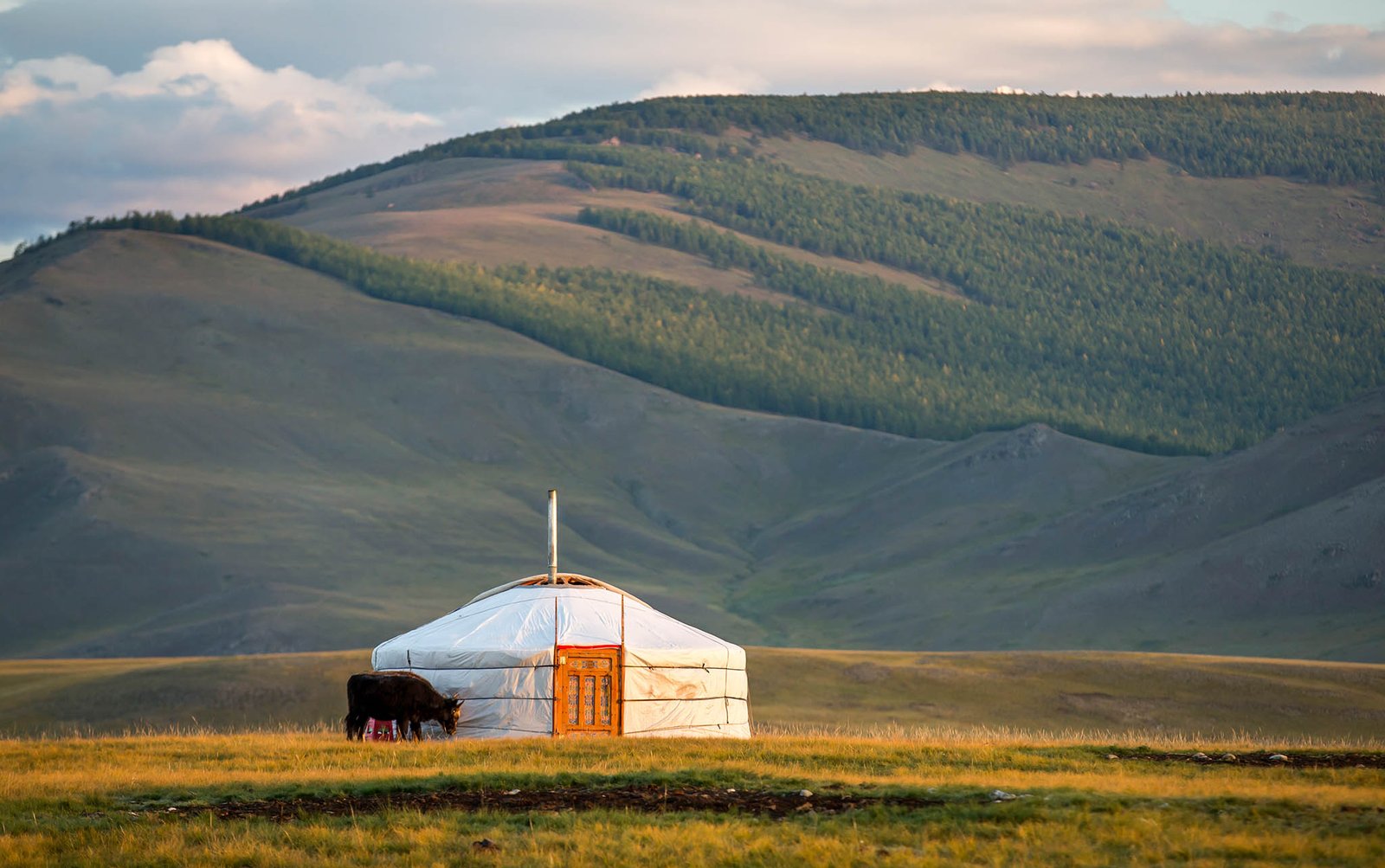 We can offer you a Mongolian Nomad's Migration experience where you'll work together with the family on dismantling the ger