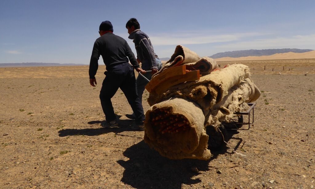 Spring Migration in Mongolia