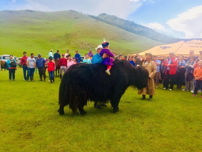 Yak Festival - Orkhon River Valley, Mongolia
