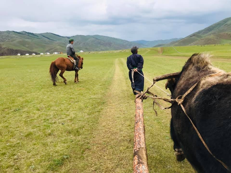 Yak cart trek Mongolia