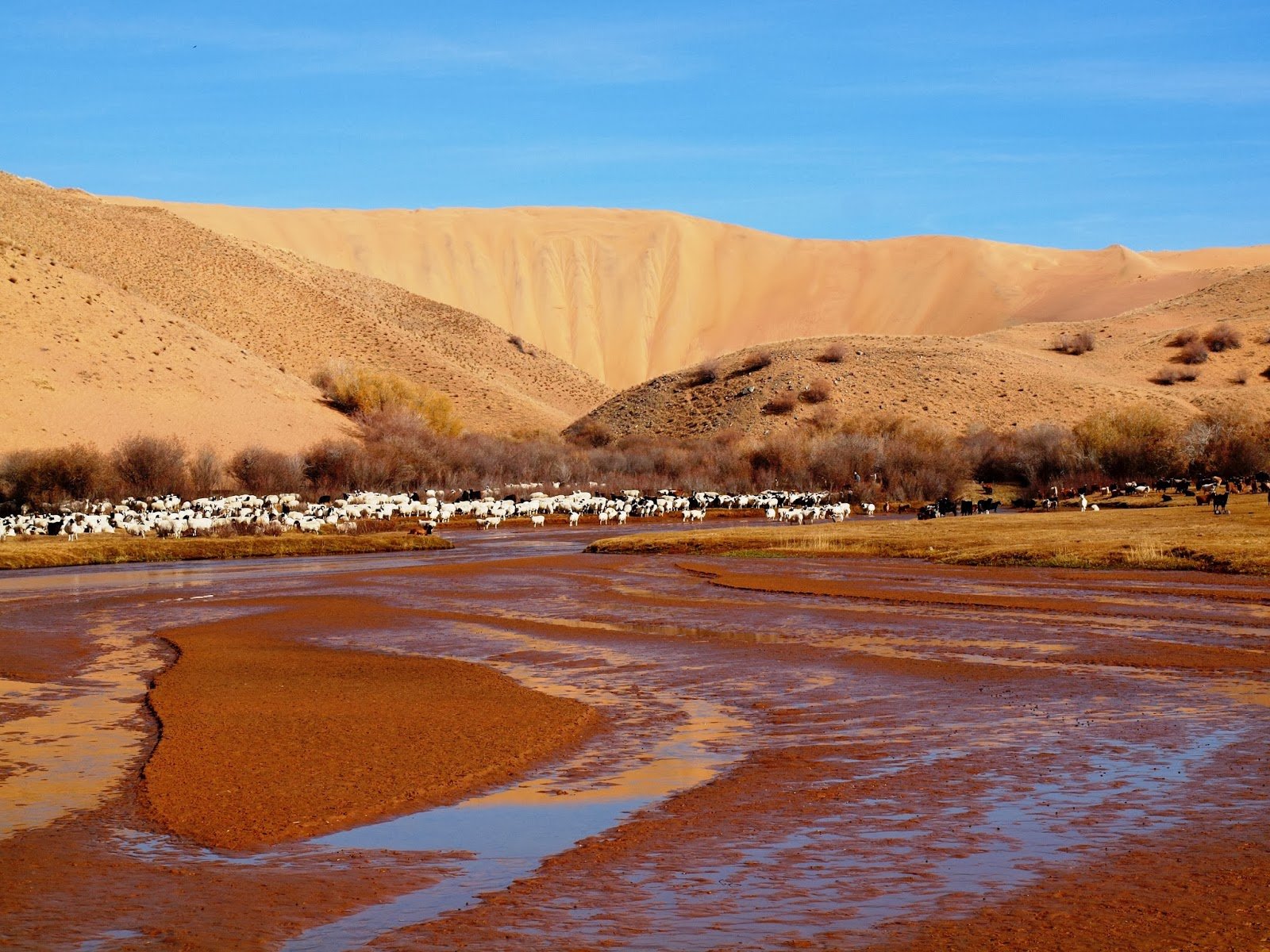Mukhartiin Gol - western Mongolia
