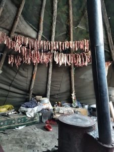 Meat drying in ortz belonging to Mongolia's reindeer herders