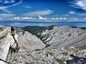 Horse trekking in the Khoridol Saridag Strictly Protected Area during Khovsgol trekking experiences