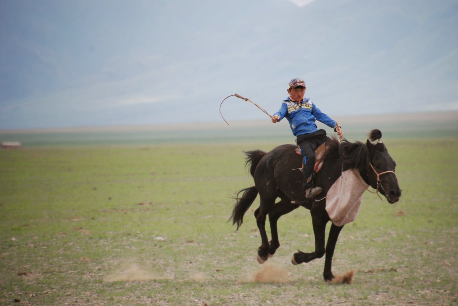 Boy jockey Mongolia