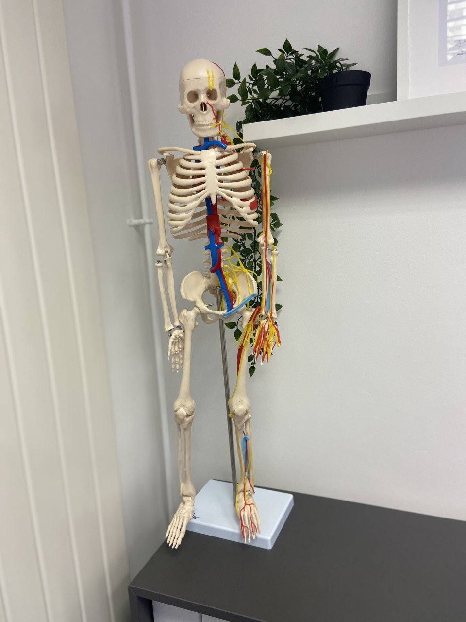 FAQs about osteopaths