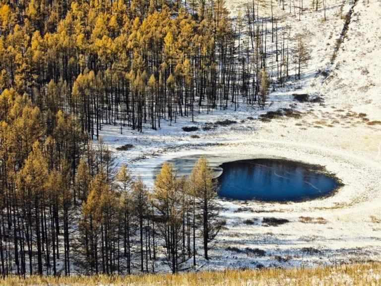 Uran Togoo Volcanic Landscapes Mongolia