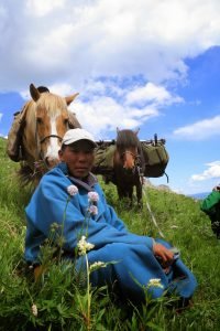 Mongolian herder with horses