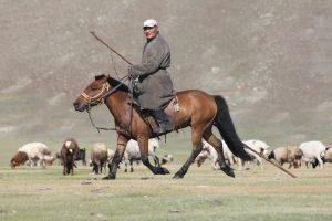 Horseman Mongolia