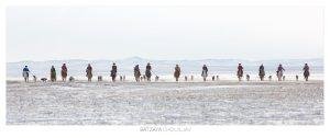 Horsemen and hunting dogs at Mongolia's Winter Horse Festival