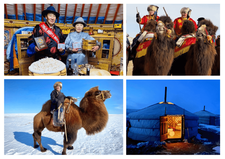 Images from our Thousand Camel Festival small group winter tour in Mongolia