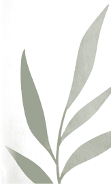 Decorative leaf motif